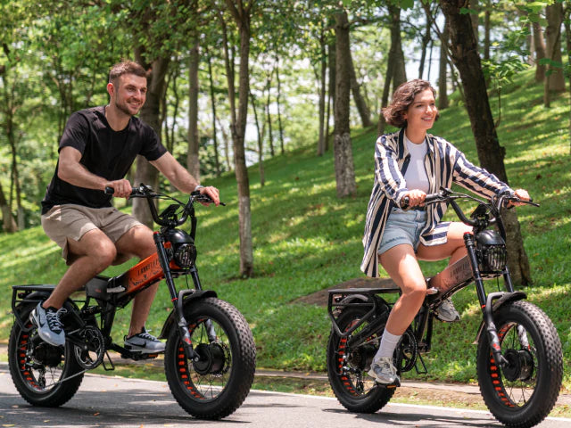 Oil brake or wire brake? Lankeleisi can help you do it in one move