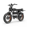 Pre-Salelankeleisi X-Black Knight 2000W Dual Motor Maximum Range 280Km Black